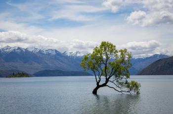 Claves para planificar tu jubilación si vives en Estados Unidos